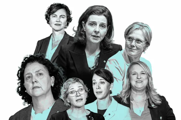 Teal independents in Australian politics